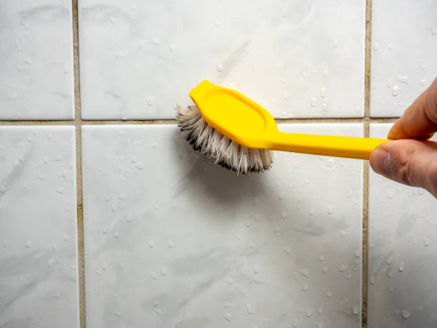 Best Fast Mold Removal  in Ellington, MO
